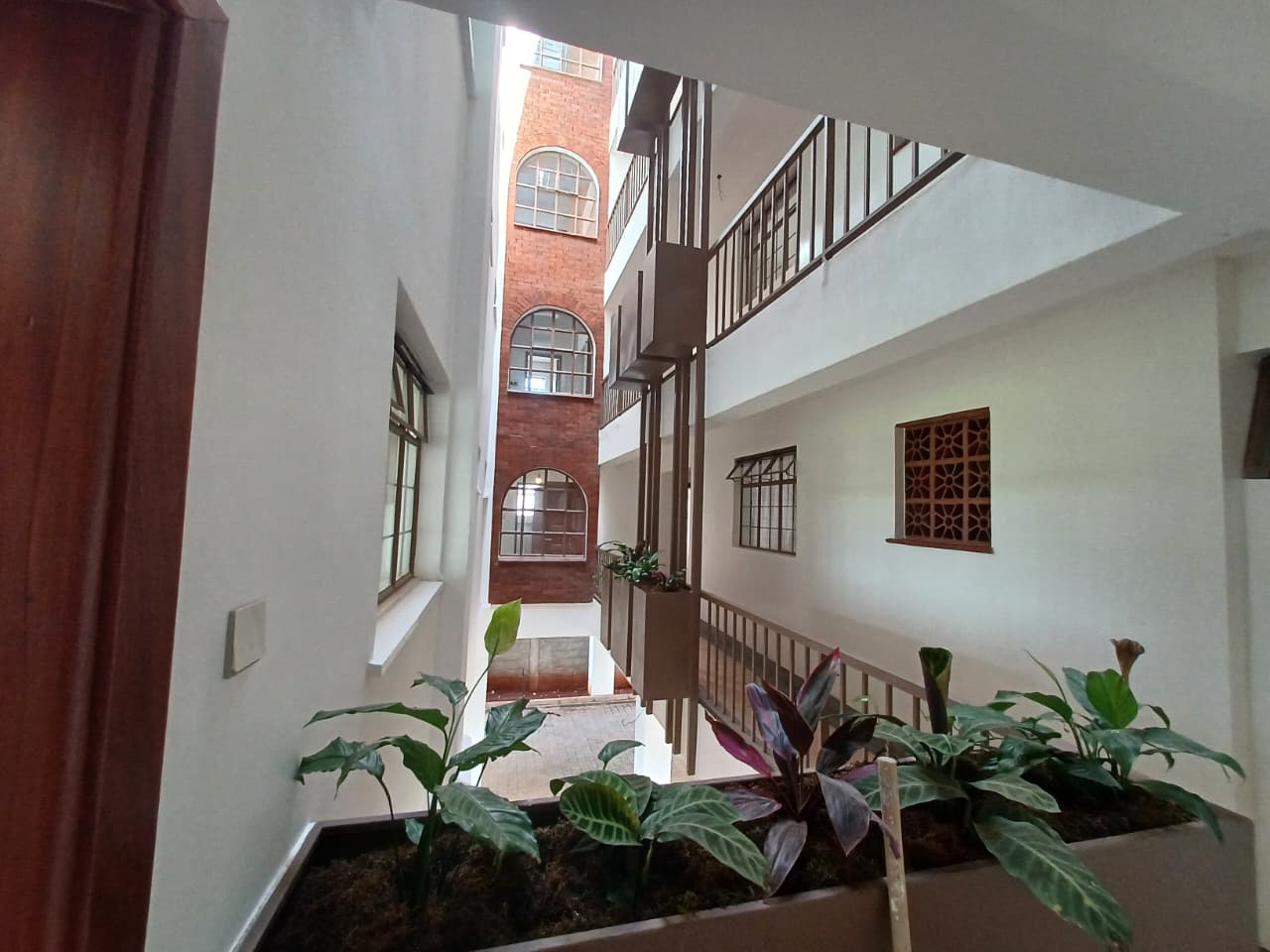 Ivy Terraces Another View